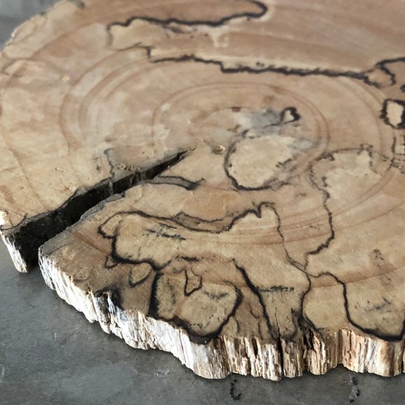 A set of Driftwood Coasters from Strange Fellows - Picture 5 of 16